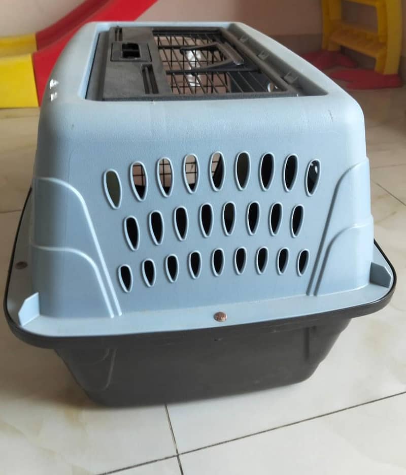 cat cage 1