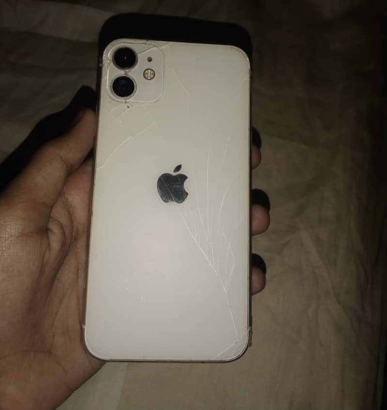 iPhone 11 0