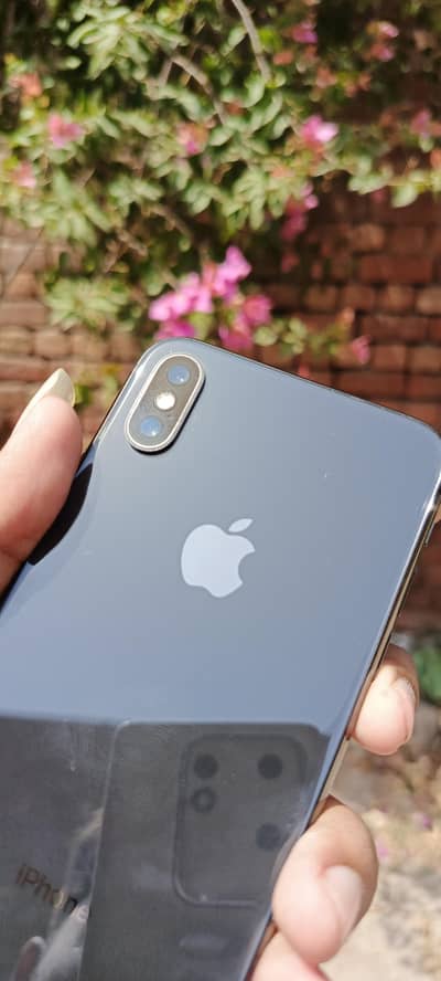Apple iPhone X