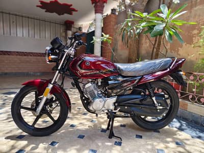Yamaha Ybz Dx 2026 Brand New