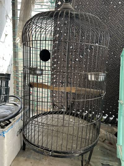 Parrots cage for sale