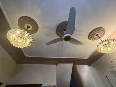 chandlairs 02
