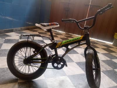 Safari cycle