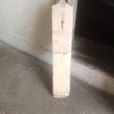 hard ball bat