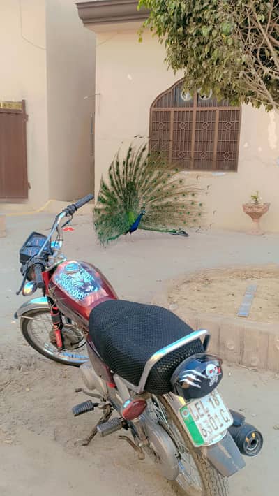 Maine bike sel karni hai jis bhai ko chahie mere  number per call kar