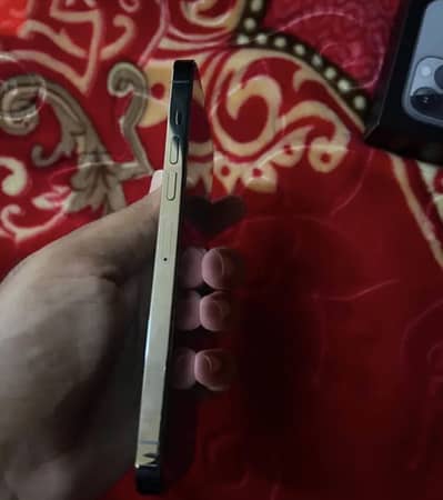 Apple iPhone 13 Pro Max non PTA