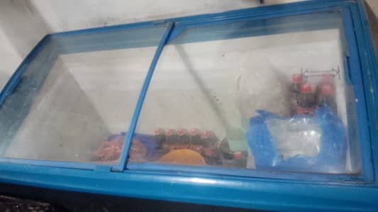Sliding door freezer cum refrigerator