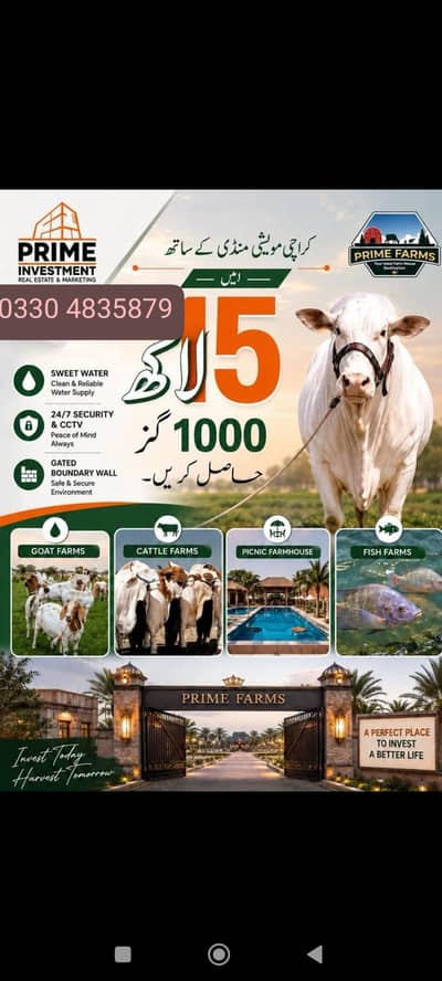 Cattle farm house