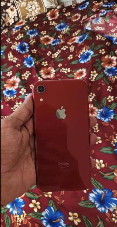 iPhone xr