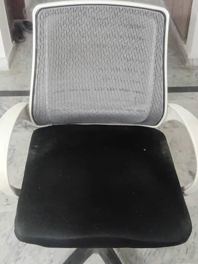 Computer cum office Chairs