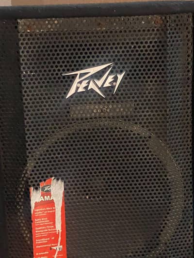 speakerPeavey 300W Powered Speaker with Built-in Mixer