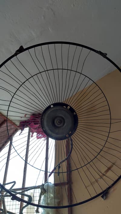 12v Japani Fan