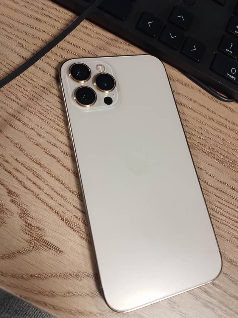 Apple iPhone 12 Pro Max 1