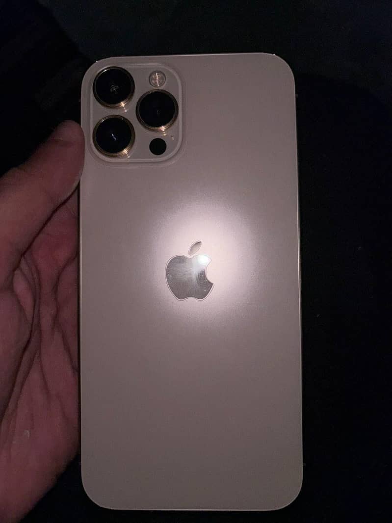 Apple iPhone 12 Pro Max 2