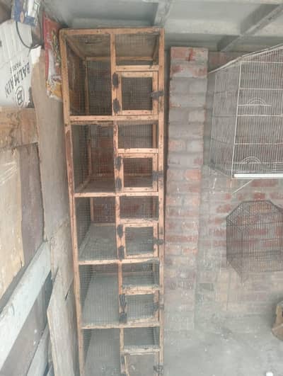 different cages all setup cn 03703843127