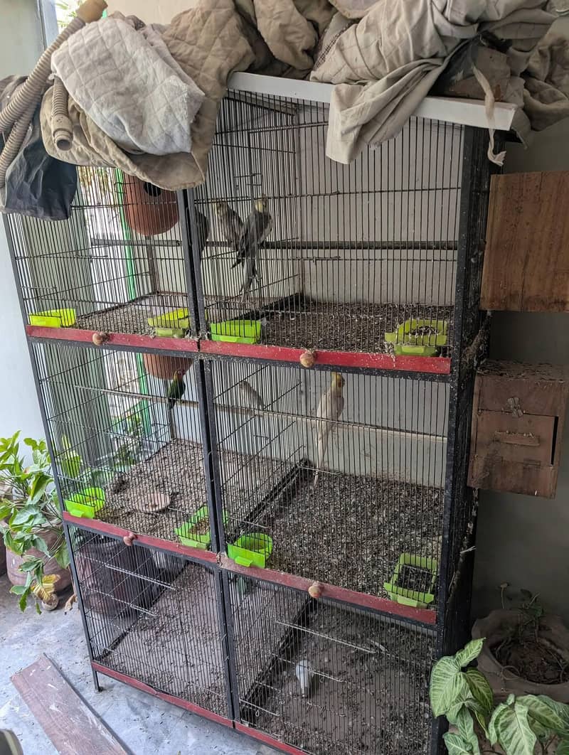 Solid Iron Cage 0