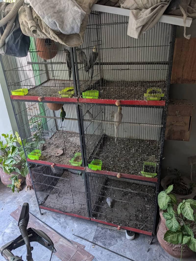 Solid Iron Cage 1