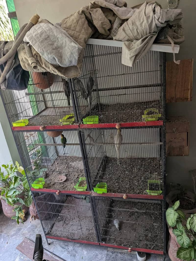 Solid Iron Cage 2