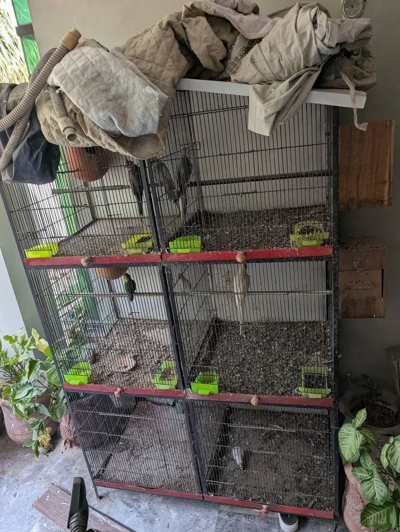 Solid Iron Cage — photo 3