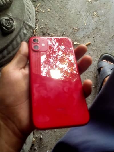 Apple iPhone 11