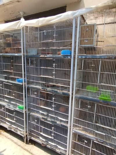 Cages