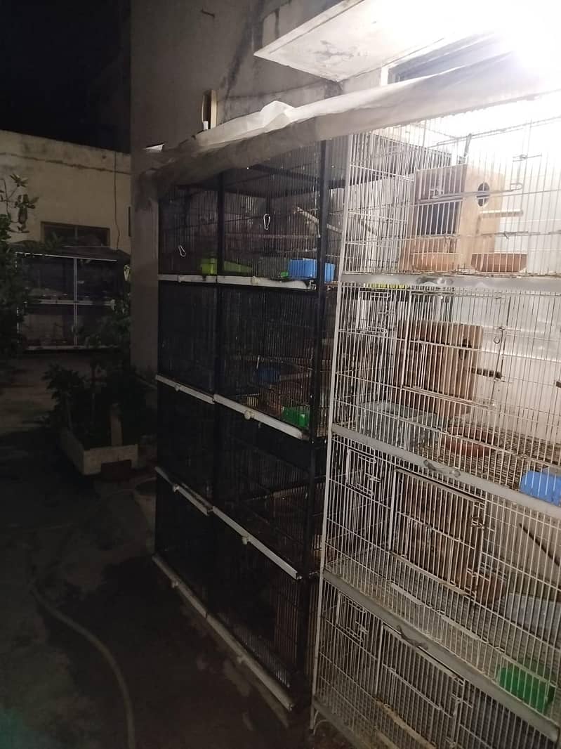 Cages 1