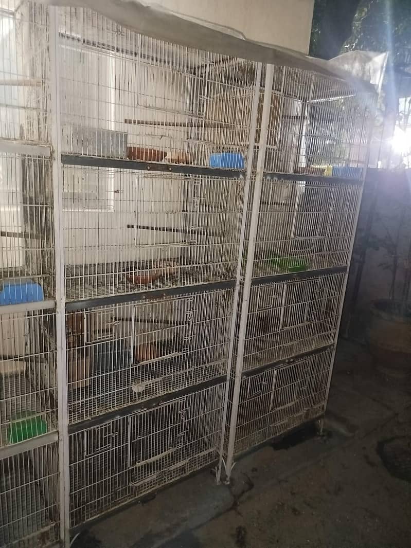 Cages 2