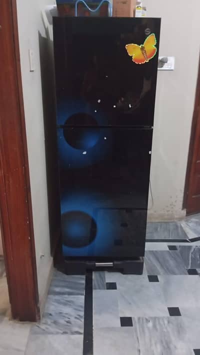 PEL Medium Size Refrigerator – 1 Year Used | Excellent Condition