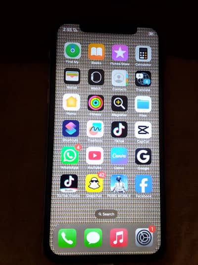 iphone x 256 gb