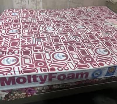 molty form 6 inches for sale