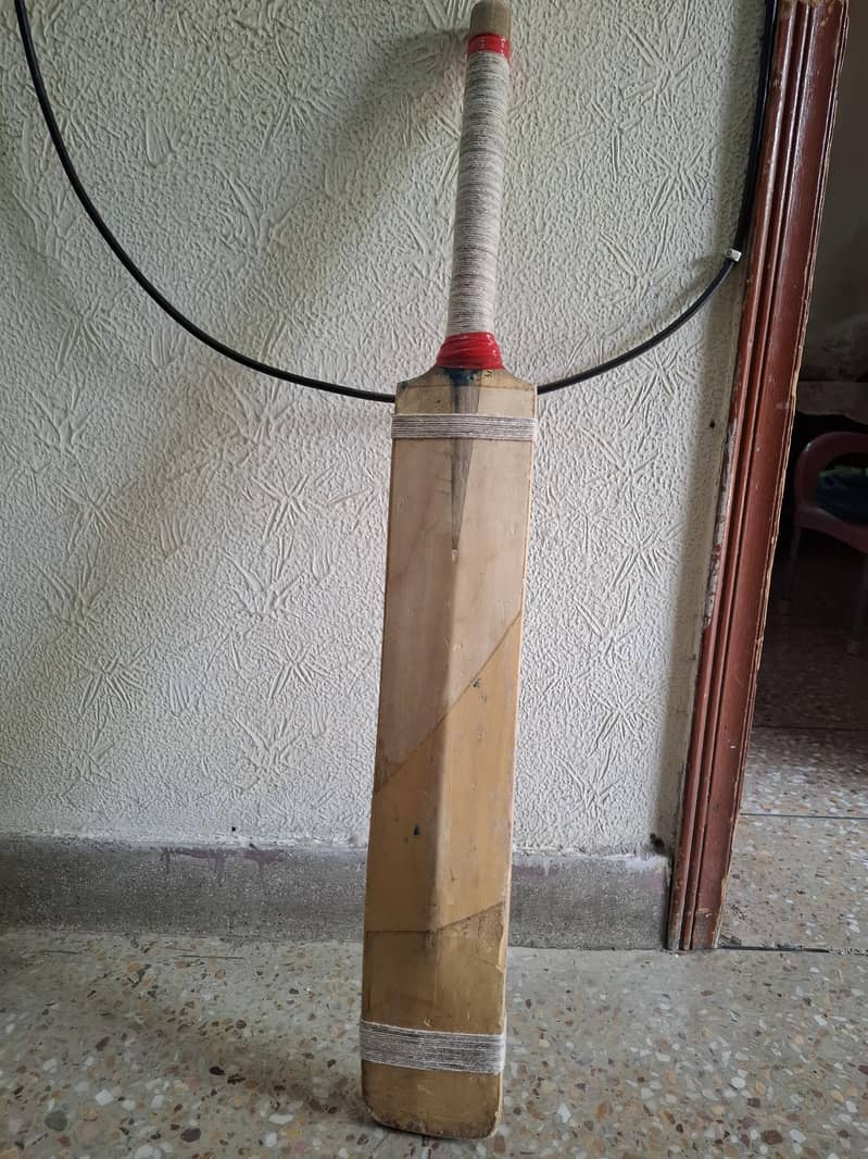 signed bat 1