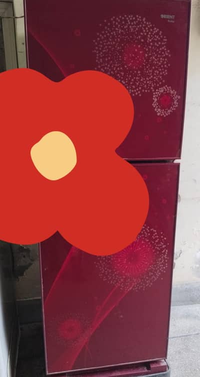 ORIENT Medium size fridge glass door