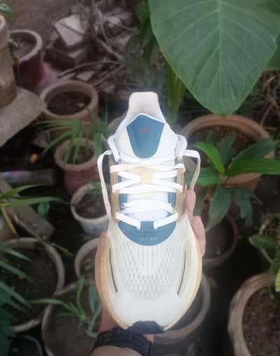 Adidas Pureboost 22