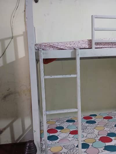kids bunker bed