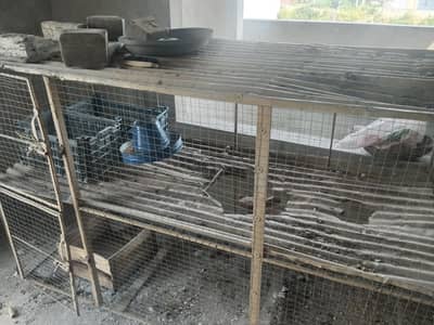 2 Portion Chicken Cage / Murghi Ka Pinjra