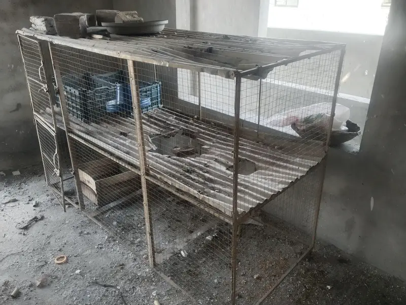 2 Portion Chicken Cage / Murghi Ka Pinjra — photo 3