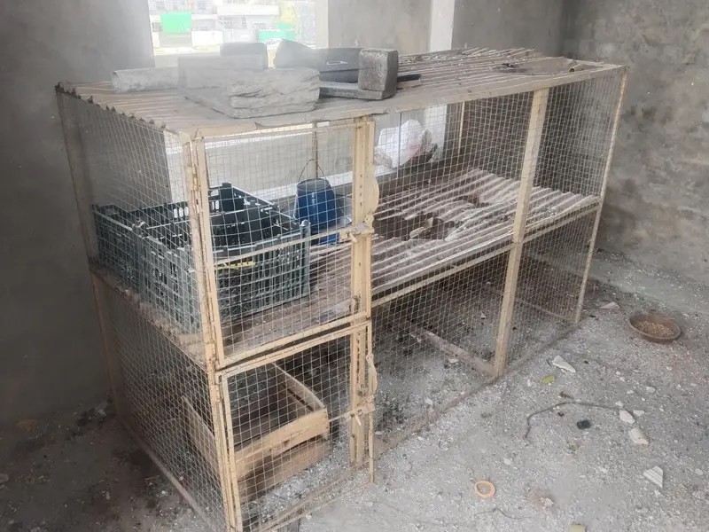 2 Portion Chicken Cage / Murghi Ka Pinjra — photo 4