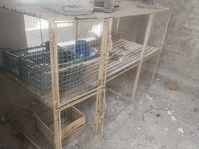 2 Portion Chicken Cage / Murghi Ka Pinjra — photo 5