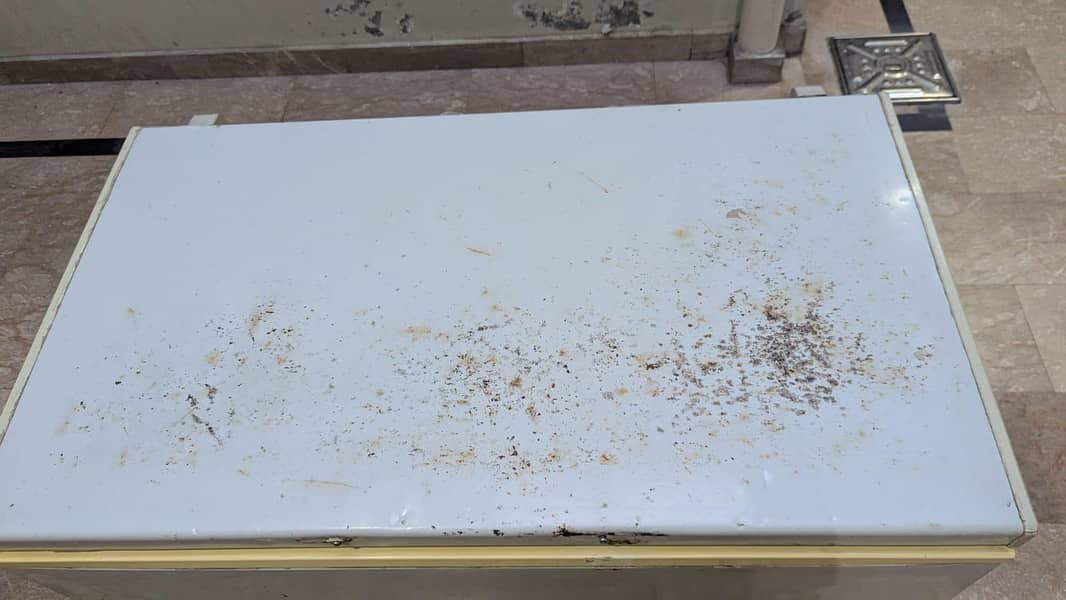 deep freezer 4
