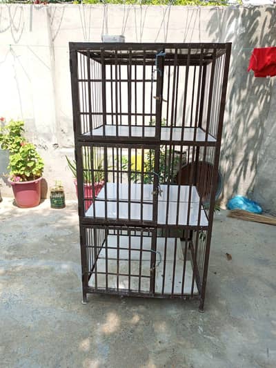 pinjara for sale