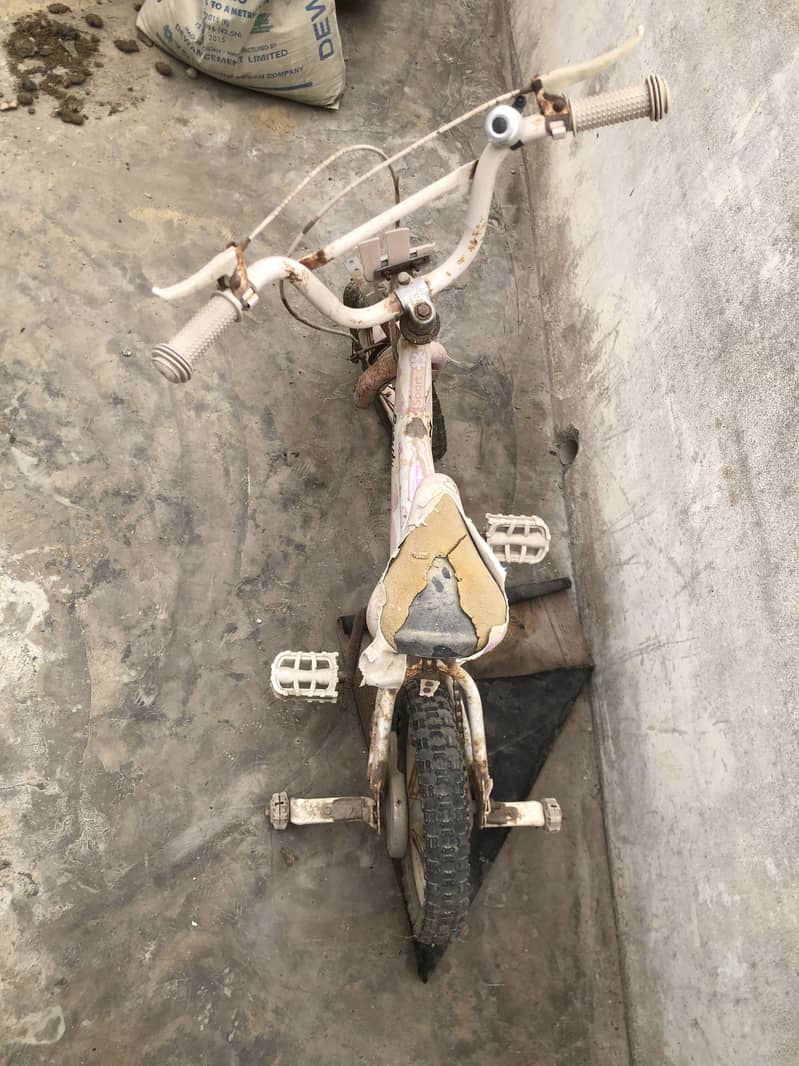 Cycle 0