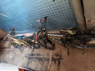 2 cycles for sale