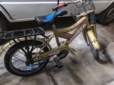 18 inch cycle