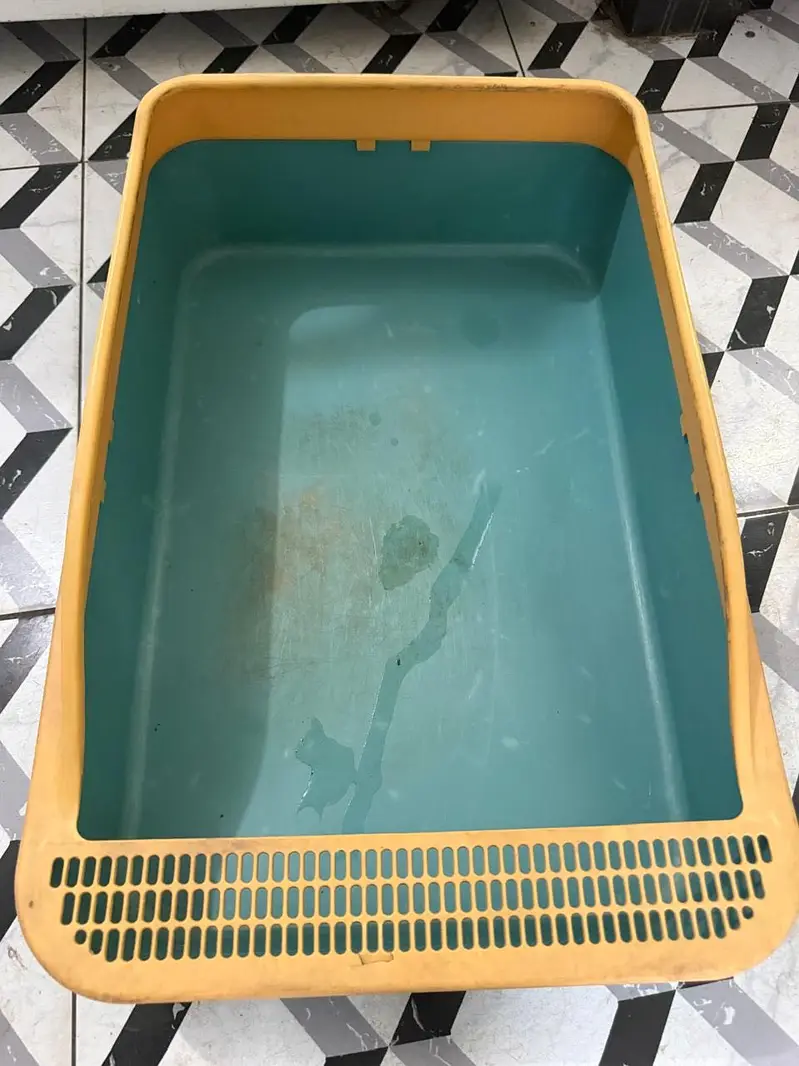 litter boxes for sale — photo 7