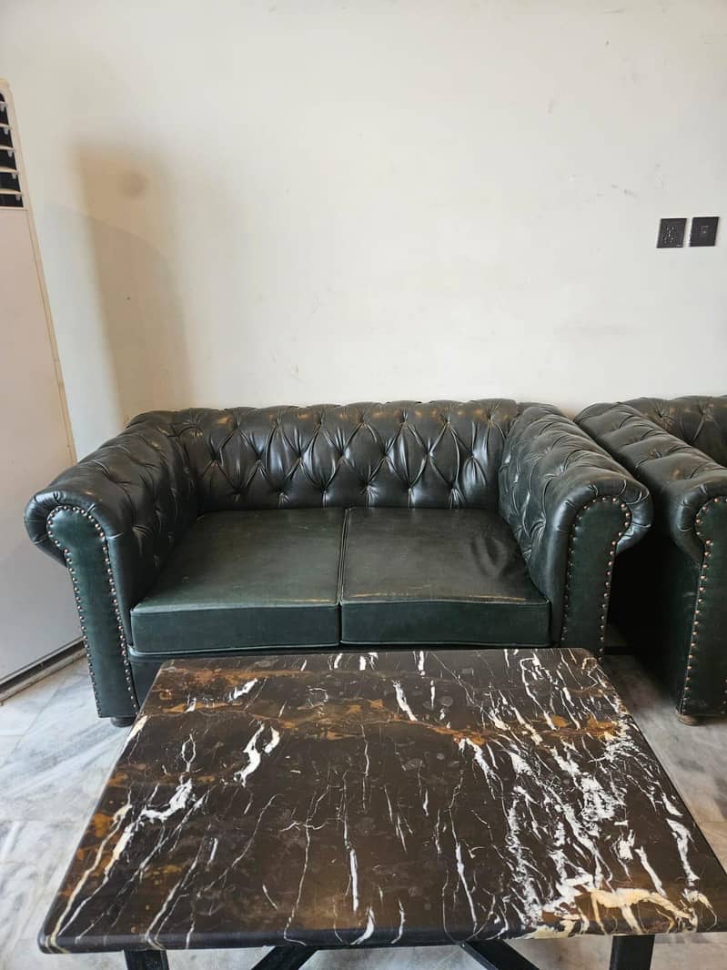leather sofa 1