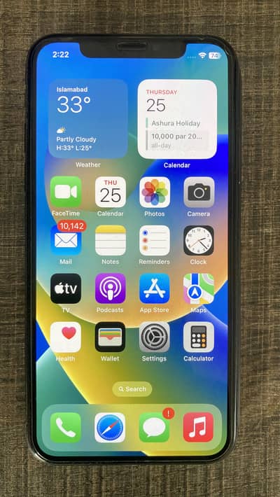 Apple iPhone X