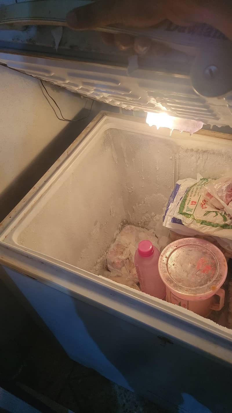 deep freezer 1