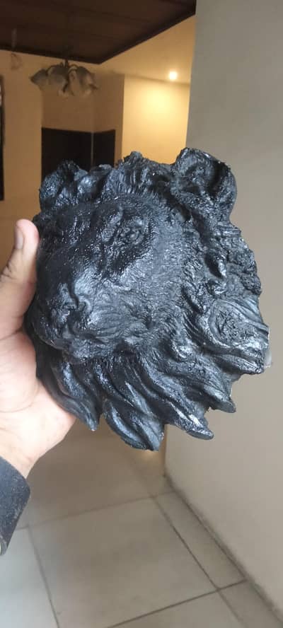 lion face