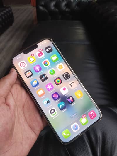 Apple iPhone 13 Pro Max