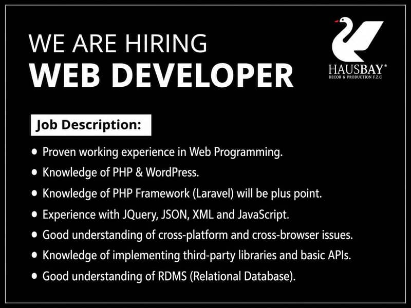 Web developer 0